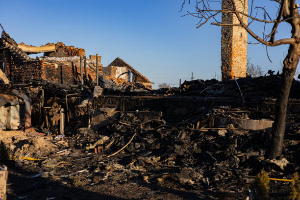 Reliable Fire Damage Removal contractor in Webster, FL by Fire Damage Flint
